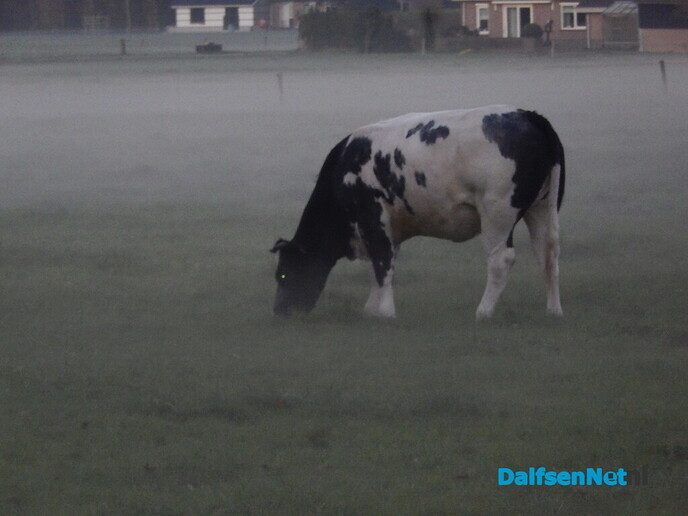 Nog meer mistige foto’s - Foto: Willy