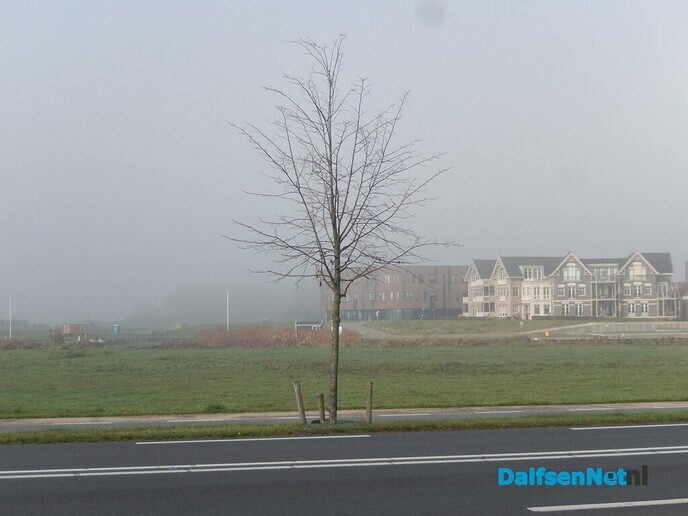 Nog meer mistige foto’s - Foto: Willy