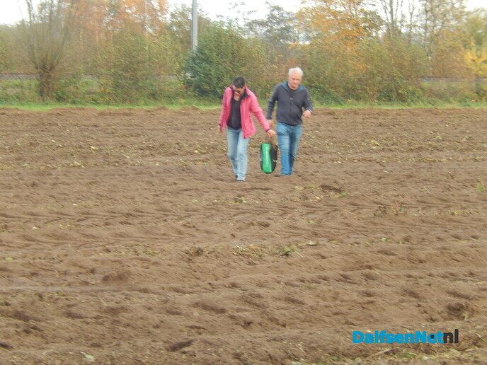 Wel belangstelling voor zonnehoedplanten rapen - Foto: Willy