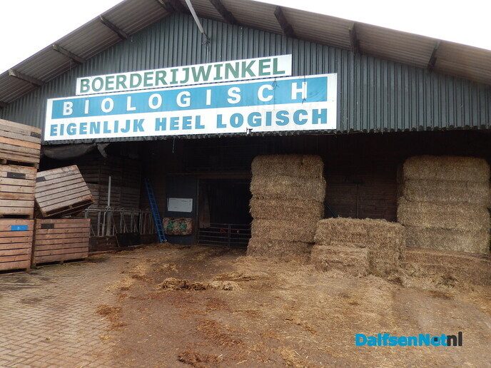 Wel belangstelling voor zonnehoedplanten rapen - Foto: Willy