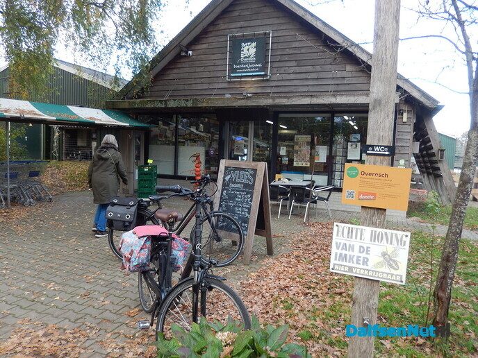 Wel belangstelling voor zonnehoedplanten rapen - Foto: Willy