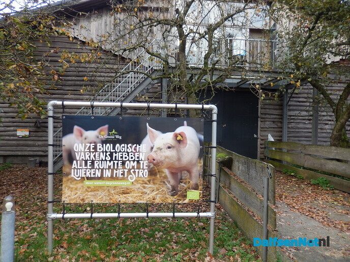 Wel belangstelling voor zonnehoedplanten rapen - Foto: Willy