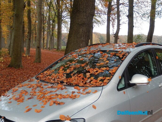 Het was vandaag alweer een mooie herfstdag - Foto: Willy