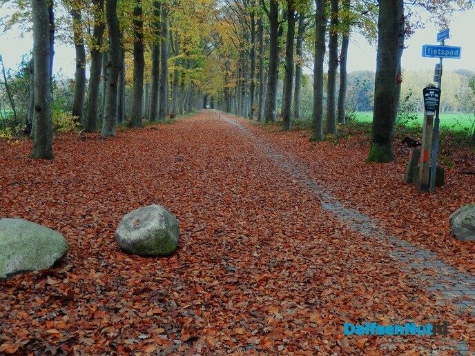 Het was vandaag alweer een mooie herfstdag - Foto: Willy