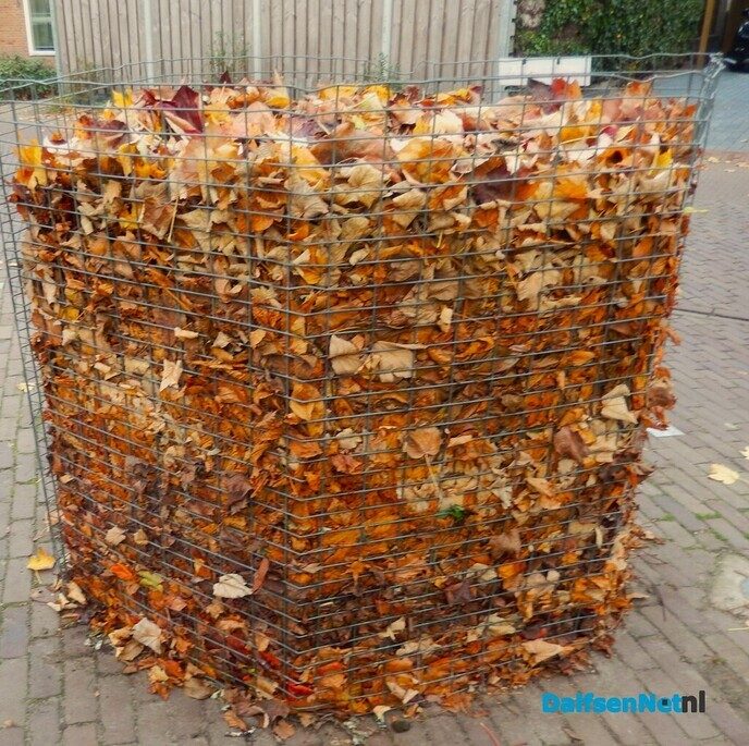 Het was vandaag alweer een mooie herfstdag - Foto: Willy