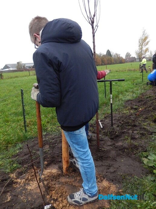 Boomplant dag bij The Ranch in Lemelerveld - Foto: Willy