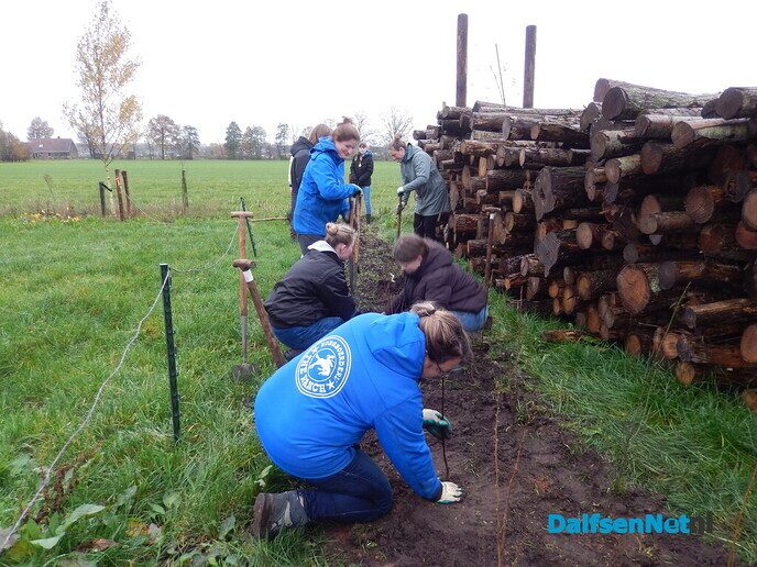 Boomplant dag bij The Ranch in Lemelerveld - Foto: Willy