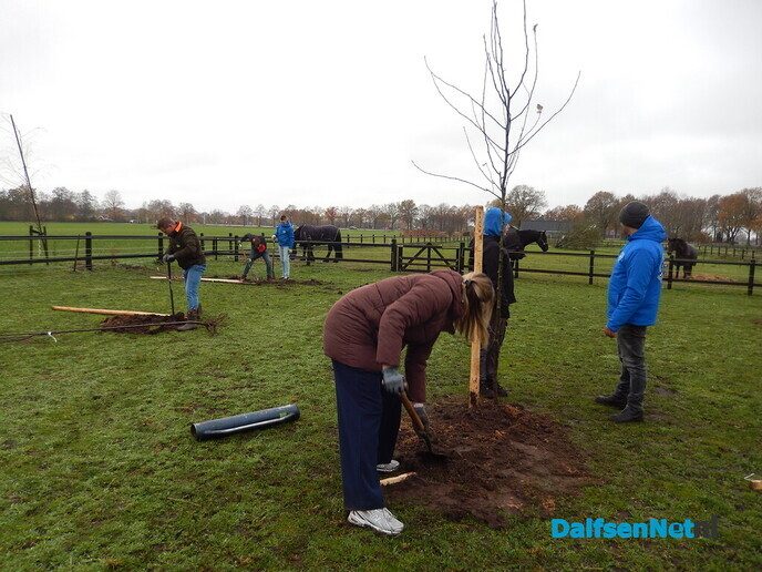 Boomplant dag bij The Ranch in Lemelerveld - Foto: Willy