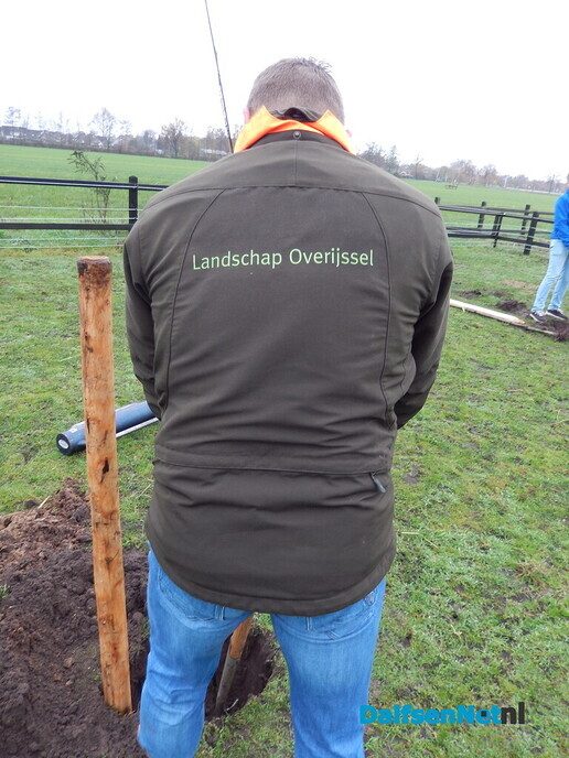 Boomplant dag bij The Ranch in Lemelerveld - Foto: Willy