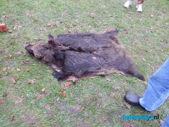 Het was weer een gezellige markt in Vilsteren - Foto: Willy
