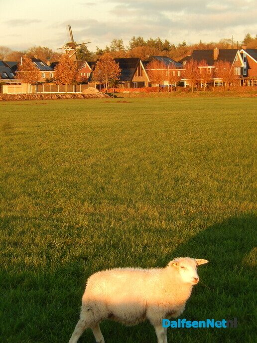 Gezicht op de Hoonhorst - Foto: Willy