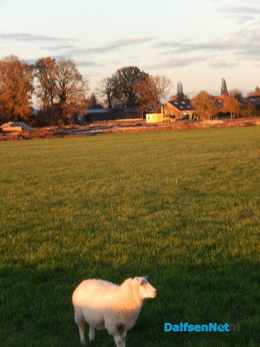 Gezicht op de Hoonhorst - Foto: Willy