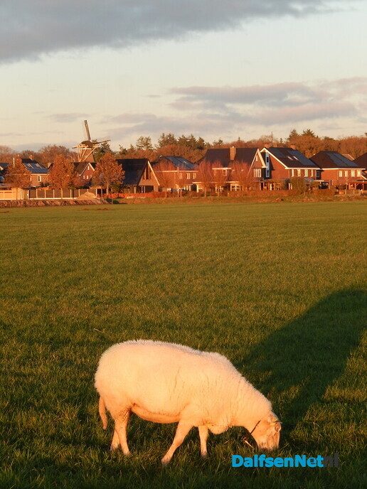 Gezicht op de Hoonhorst - Foto: Willy