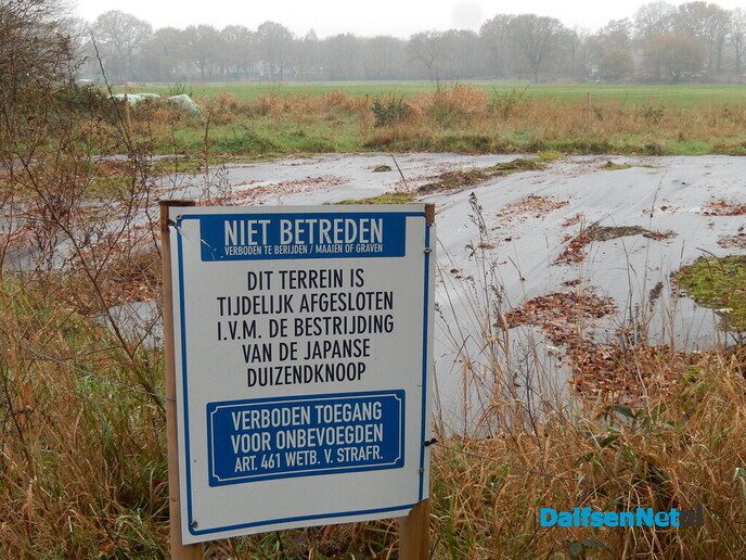 Nieuwbouw Oosterdalfsen Noord - Foto: Willy