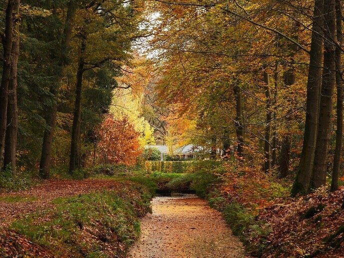 Herfstplaatjes - Foto: Ingezonden foto