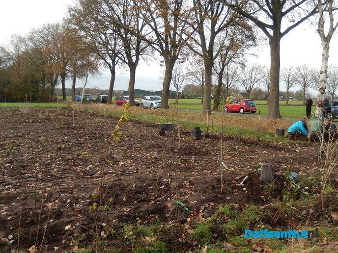 Enorm veel animo met helpen planten bij aanleg voedselbos - Foto: Willy