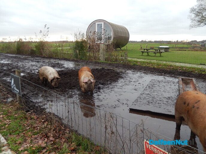 Overnachten in een boomstam? - Foto: Willy