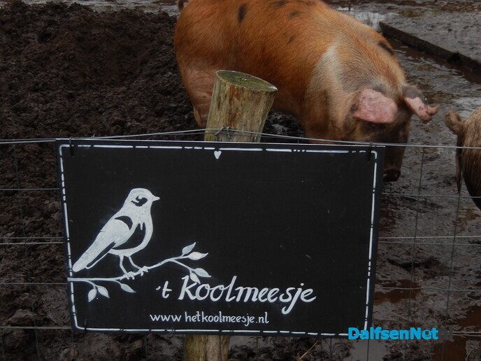 Overnachten in een boomstam? - Foto: Willy