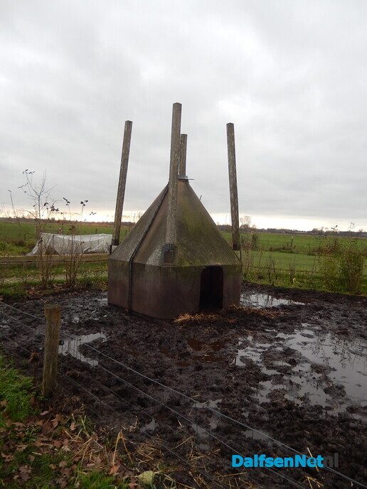 Overnachten in een boomstam? - Foto: Willy