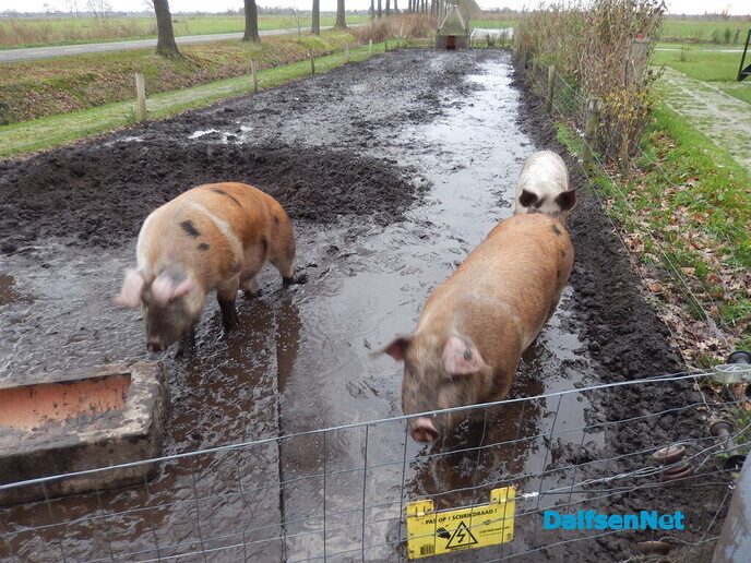 Overnachten in een boomstam? - Foto: Willy