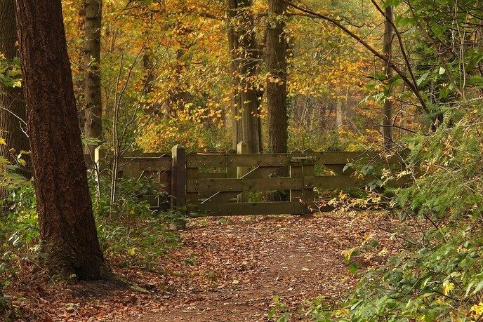 Herfstplaatjes - Foto: Ingezonden foto