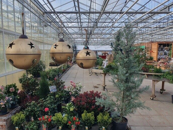 Kwekerij Onderdijk in kerstsferen