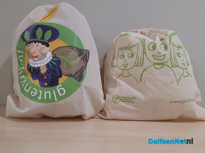 Kijktip: Dalfser Sinterklaasjournaal 2025 - Foto: Ingezonden foto