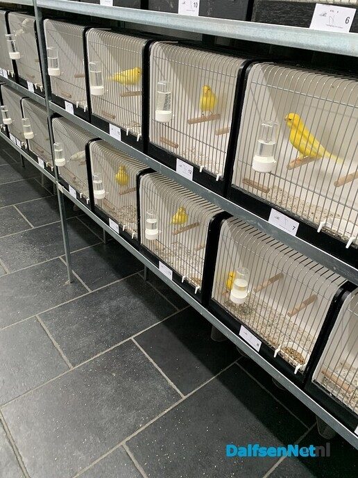 Vogelshow de Tuinfluiter - Foto: Ingezonden foto