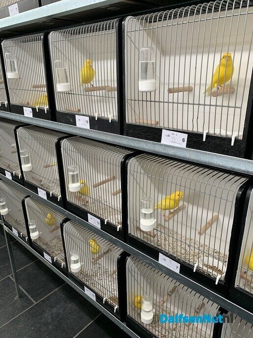 Vogelshow de Tuinfluiter - Foto: Ingezonden foto