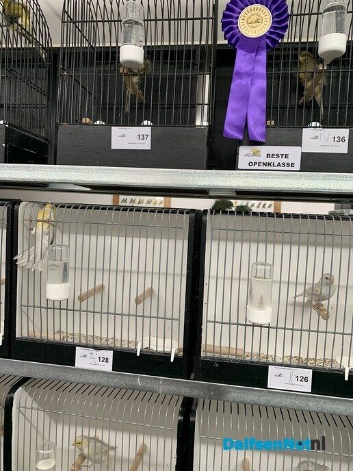 Vogelshow de Tuinfluiter - Foto: Ingezonden foto