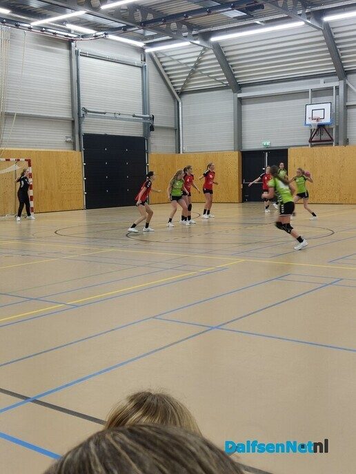 S.v. Dalfsen handbal, B1, wint topper - Foto: Ingezonden foto