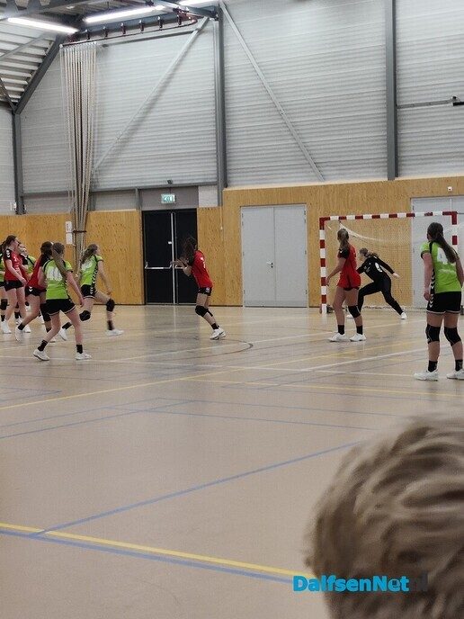 S.v. Dalfsen handbal, B1, wint topper - Foto: Ingezonden foto
