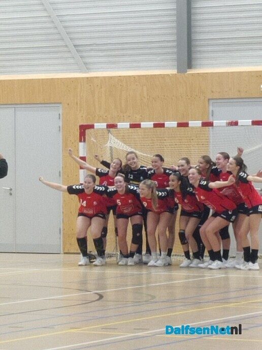 S.v. Dalfsen handbal, B1, wint topper - Foto: Ingezonden foto