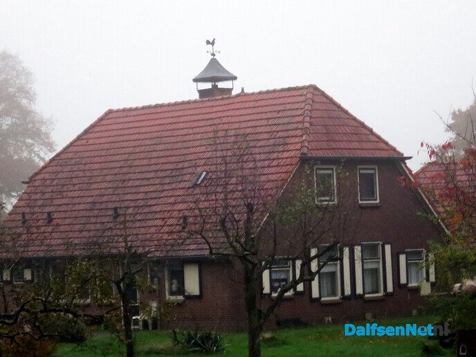 Een kleurige zondagmorgen wandeling, het wordt steeds mooier - Foto: Wim