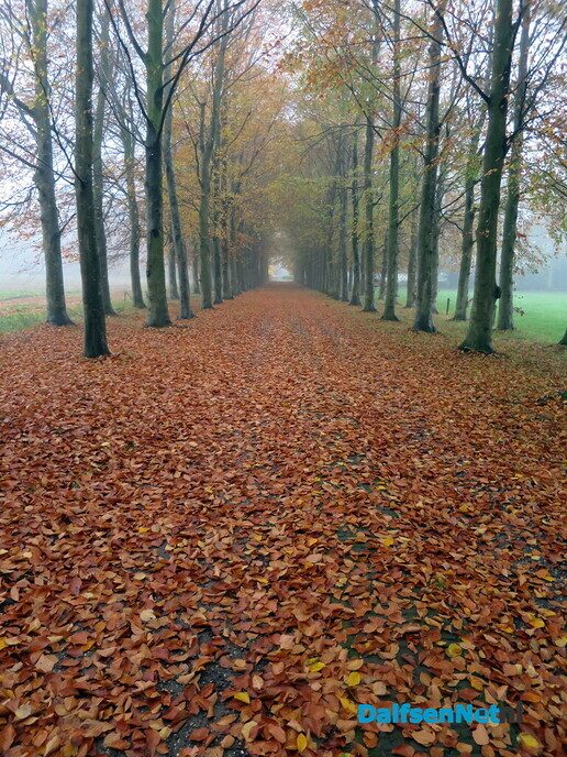 Een kleurige zondagmorgen wandeling, het wordt steeds mooier - Foto: Wim