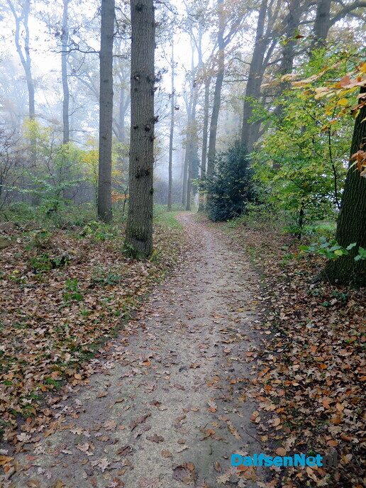 Een kleurige zondagmorgen wandeling, het wordt steeds mooier - Foto: Wim