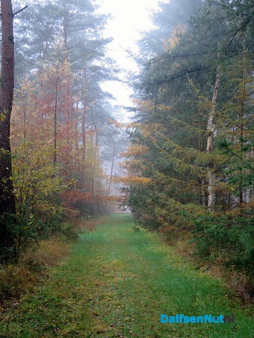 Een kleurige zondagmorgen wandeling, het wordt steeds mooier - Foto: Wim