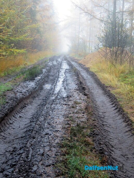 Een kleurige zondagmorgen wandeling, het wordt steeds mooier - Foto: Wim
