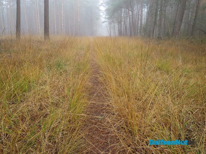 Een kleurige zondagmorgen wandeling, het wordt steeds mooier - Foto: Wim