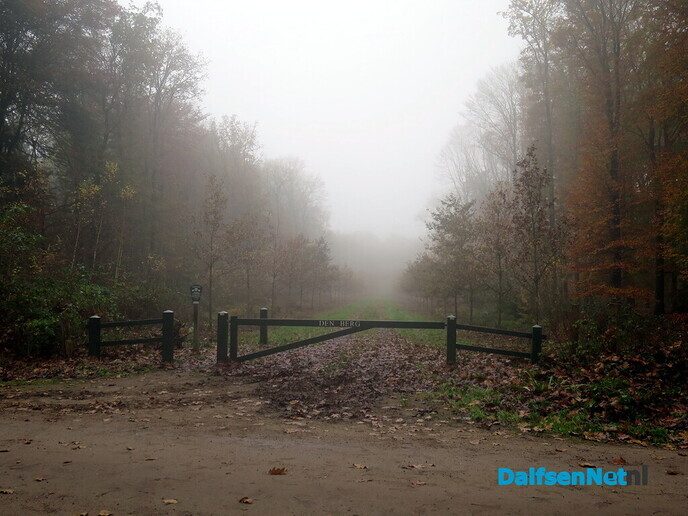 Een kleurige zondagmorgen wandeling, het wordt steeds mooier - Foto: Wim