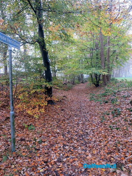 Een kleurige zondagmorgen wandeling, het wordt steeds mooier - Foto: Wim