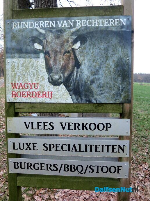 Vanmorgen vroeg op, eerst Max zien winnen, toen wandelen - Foto: Wim