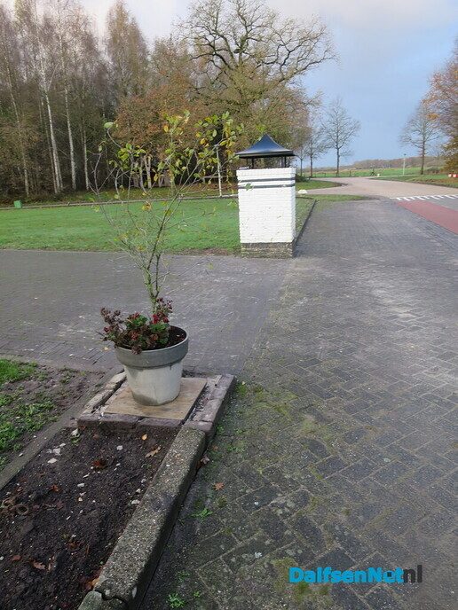 Kort wandelrondje Hoonhorst en wat valt dan op - Foto: Wim