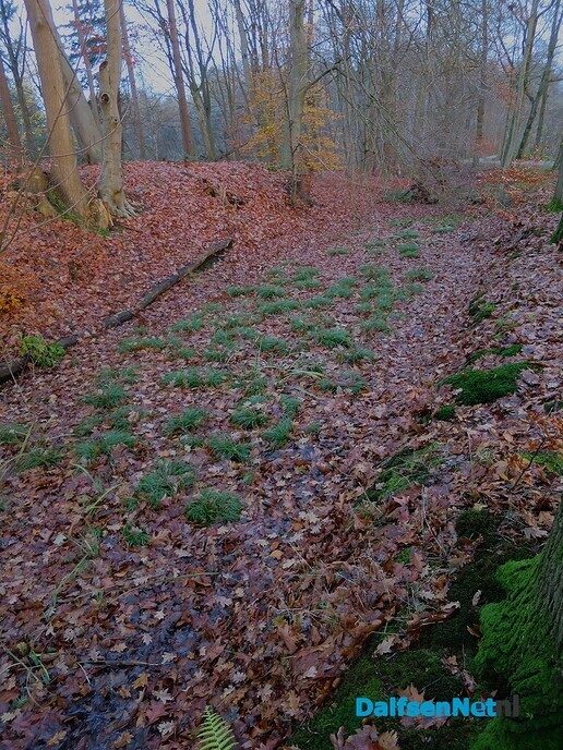 Kort wandelrondje Hoonhorst en wat valt dan op - Foto: Wim