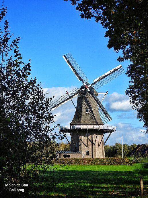 Variatie aan mooie kleurrijke foto’s - Foto: Femmie Smink