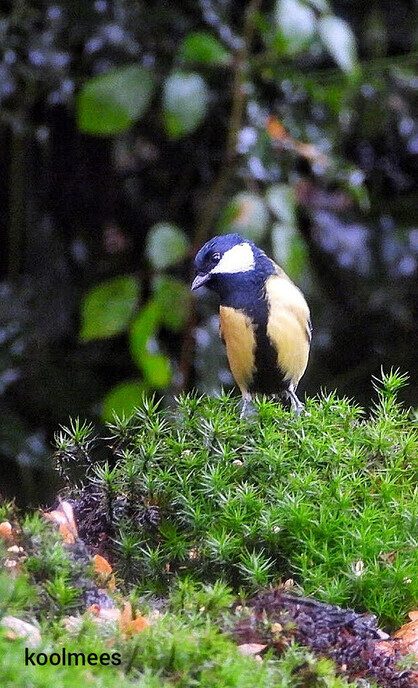 Heerlijk om zo wakker te worden, ook voor een natuurfotograaf - Foto: Femmie Smink