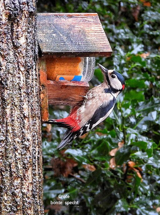 Heerlijk om zo wakker te worden, ook voor een natuurfotograaf - Foto: Femmie Smink
