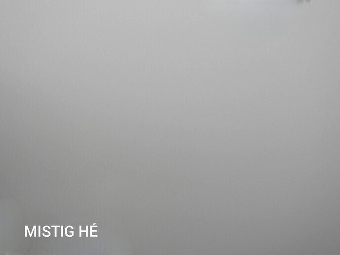 Wandelen in de mist geeft indrukwekkende foto’s - Foto: Femmie Smink