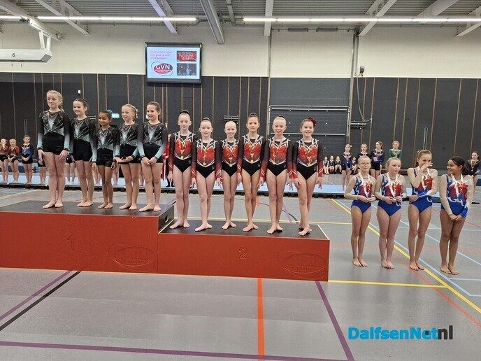 Turnsters gym vereniging Nieuwleusen goed voor zilver - Foto: Ingezonden foto