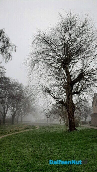 Winterbomen zijn blikvangers - Foto: Jennie Kanis